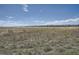 Open space with natural grasses and trees, with a beautiful view of the mountains at 12421 Irving Dr, Broomfield, CO 80020