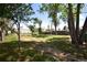 Lush backyard featuring mature trees, providing shade and a serene outdoor space at 5942 Poplar St, Commerce City, CO 80022