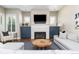 Bright living room showcases a fireplace, built-in cabinets, and modern furnishings at 295 Jersey St, Denver, CO 80220