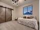 Comfortable bedroom featuring a barn door, gray carpet and ample natural light at 5441 Twilight Way, Parker, CO 80134