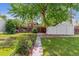 Green backyard with a mature shade tree, a white storage shed, and a wood fence at 2767 S Linley Ct, Denver, CO 80236