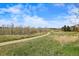 Picturesque walking path through lush grassy field leading to a beautiful vista under a bright sky at 12187 S Hidden Trail Ct, Parker, CO 80138