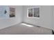 Bright bedroom with carpeted floors, white walls, and natural light from two windows at 1552 Live Oak Rd, Castle Rock, CO 80104