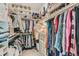 Spacious walk-in closet with custom shelving and hanging racks, perfect for organizing clothes and shoes at 16546 Umatilla Place, Broomfield, CO 80023