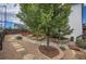 Relaxing backyard oasis with stone pathways and lush landscaping at 2314 Fairway Wood Cir, Castle Rock, CO 80109