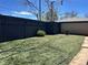 Fenced backyard providing privacy, with a healthy lawn and mature landscaping at 2804 N Harrison St, Denver, CO 80205