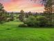 Lush backyard showcasing green grass and mature trees at 121 County Road 146, Elizabeth, CO 80107