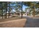 A long driveway approaches a home with a stone and wood exterior, surrounded by tall pine trees at 121 County Road 146, Elizabeth, CO 80107