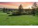 Scenic view of a vast green field dotted with mature trees and shrubs beneath a vibrant sunset sky at 121 County Road 146, Elizabeth, CO 80107