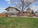 Spacious backyard with a large tree, a well-maintained lawn, and a cozy patio at 9667 W Ohio Ave, Lakewood, CO 80226