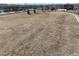 Expansive vacant lot in a desirable neighborhood with mountain views at 20801 Randolph Pl, Denver, CO 80249
