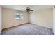 Bright bedroom features plush carpeting, a ceiling fan, and a sunny window at 3938 Lazy K Dr, Castle Rock, CO 80104