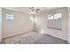 Bright bedroom features a ceiling fan, carpeted floors, and natural light from multiple windows at 3938 Lazy K Dr, Castle Rock, CO 80104
