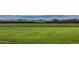 Lush green farmland stretches towards the horizon, showcasing rich soil and agricultural potential at 1805 W County Road 8, Berthoud, CO 80513