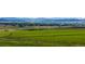 Scenic landscape view of a vast open field, with trees, greenery and mountains in the background at 1805 W County Road 8, Berthoud, CO 80513