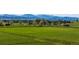 A large beautiful green open field with a mountain view and houses in the background at 1805 W County Road 8, Berthoud, CO 80513