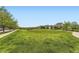 Expansive green space in a well-maintained community with tree-lined streets and sidewalks, ideal for outdoor activities at 10311 Belvedere Ln, Lone Tree, CO 80124
