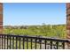 View from the porch of the neighborhood and a tree-lined street at 10311 Belvedere Ln, Lone Tree, CO 80124