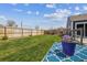Spacious backyard featuring a well-maintained lawn, complemented by privacy fencing and blue patio furniture at 1995 Xenia St, Denver, CO 80220