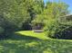 Backyard with green grass and a wood deck surrounded by lush trees at 1602 S Lamar St, Lakewood, CO 80232