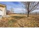 Expansive backyard with a combination of green and dry grass, complemented by a wooden fence at 6295 Clayton Cir, Frederick, CO 80530