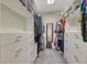 Walk-in closet with custom shelving and drawer storage with mirrors and carpeted floor at 12344 Turquoise Terrace St, Castle Pines, CO 80108