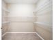 Spacious walk-in closet with wire shelving providing ample storage at 8571 Gold Peak Dr # F, Highlands Ranch, CO 80130
