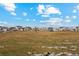 A large grassy field with a park and residential homes at 2154 Alyssa St, Fort Lupton, CO 80621