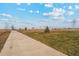 Well-maintained walking path amidst lush green spaces and young trees, perfect for a refreshing walk or jog in the community at 2154 Alyssa St, Fort Lupton, CO 80621