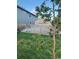 Lush backyard view featuring a wooden fence, well-maintained lawn, and a flowering tree adding charm at 4814 Kingbird Dr, Frederick, CO 80504