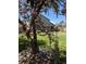 Serene backyard with flowering tree, lush lawn, and the house in the background, perfect for outdoor activities at 4814 Kingbird Dr, Frederick, CO 80504