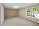Bright bedroom features neutral walls, wall-to-wall carpeting, and two large windows that provide great natural lighting at 11704 Elk Head Range Rd, Littleton, CO 80127