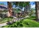 Attractive townhome featuring brick accents, green facade and landscaped entrance at 11704 Elk Head Range Rd, Littleton, CO 80127
