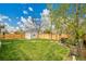 Well-maintained backyard with lush lawn, privacy fence, and a storage shed, ideal for outdoor activities at 4924 S Flower Way, Littleton, CO 80123