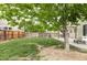 A spacious backyard featuring a patio, large tree, and ample greenery perfect for outdoor activities and relaxation at 6385 S Nelson Way, Littleton, CO 80127