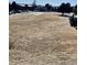 A field of grass and snow with neighborhood in the background at 14396 E Temple Pl # A, Aurora, CO 80015