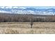 Community view of grassy field and mountain range in the distance at 14396 E Temple Pl # A, Aurora, CO 80015