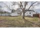 Expansive backyard featuring large tree, detached garage, and various fencing at 3780 Benton St, Wheat Ridge, CO 80212