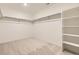 Spacious walk-in closet featuring carpeted floors and built-in shelving for optimal storage and organization at 7308 Waterleaf Trl, Littleton, CO 80125