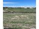 Spacious backyard with a large green field in the distance on a sunny day, perfect for outdoor activities at 14553 Hudson Way, Thornton, CO 80602