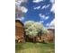 Exterior view of the brown wood clad property showcasing lush spring landscaping at 9088 W 88Th Cir, Westminster, CO 80021