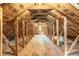 Unfinished attic space with exposed beams and insulation at 5195 Allison St, Arvada, CO 80002