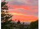 Beautiful sunset with bright pink and orange color reflecting off the horizon behind the trees at 795 S Alton Way # 5D, Denver, CO 80247