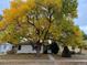 Charming single-story home featuring mature trees in full autumn color and a well-maintained front yard at 2626 S Pennsylvania St, Denver, CO 80210