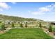 Beautiful backyard featuring a well-maintained lawn, mature trees, and scenic views of the surrounding landscape at 15116 Lyons Ridge Dr, Morrison, CO 80465