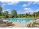 Inviting community pool area offers a refreshing escape with comfortable seating and lush surroundings for relaxation and enjoyment at 7410 Winter Berry Ln, Castle Pines, CO 80108