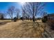 Spacious backyard with dry grass and mature trees adding beauty and shade to the landscape at 22 Wedge Way, Littleton, CO 80123