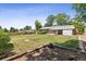 Expansive backyard featuring a lush green lawn, mature trees, and ample space for outdoor activities at 2902 S Meade St, Denver, CO 80236