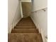 Carpeted stairway leading to the basement of the home at 1245 Yates St, Denver, CO 80204