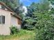 Exterior shot of the side of the house with tall grass and window at 1413 Centennial Dr, Longmont, CO 80501